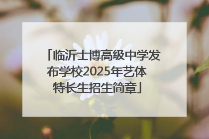 临沂士博高级中学发布学校2025年艺体特长生招生简章