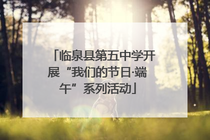临泉县第五中学开展“我们的节日·端午”系列活动