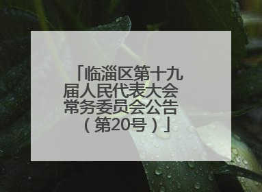 临淄区第十九届人民代表大会常务委员会公告（第20号）