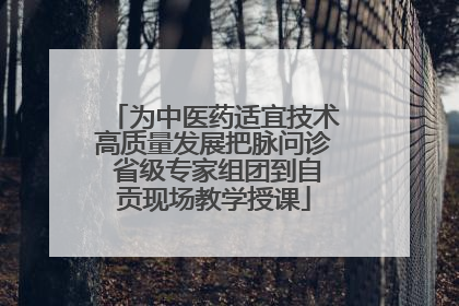 为中医药适宜技术高质量发展把脉问诊 省级专家组团到自贡现场教学授课
