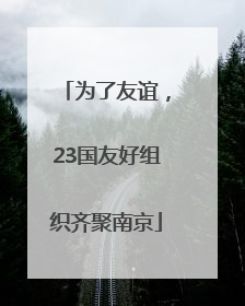 为了友谊，23国友好组织齐聚南京