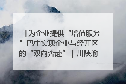 为企业提供“增值服务”巴中实现企业与经开区的“双向奔赴”｜川陕渝网络名人巴中行