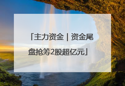 主力资金｜资金尾盘抢筹2股超亿元