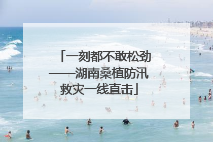 一刻都不敢松劲——湖南桑植防汛救灾一线直击