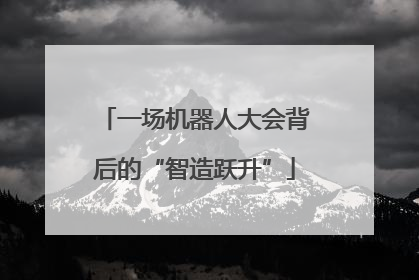 一场机器人大会背后的“智造跃升”