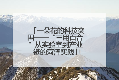 一朵花的科技突围——“三用百合”从实验室到产业链的菏泽实践