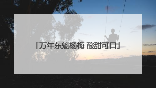 万年东魁杨梅 酸甜可口