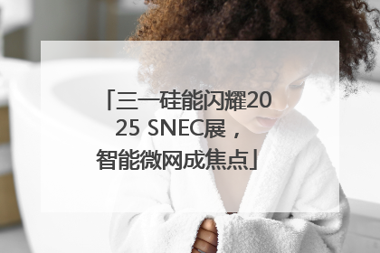 三一硅能闪耀2025 SNEC展，智能微网成焦点