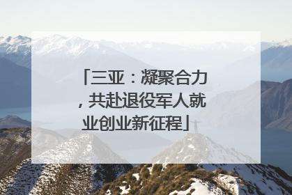 三亚：凝聚合力，共赴退役军人就业创业新征程