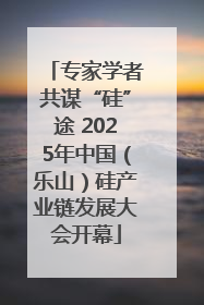专家学者共谋“硅”途 2025年中国（乐山）硅产业链发展大会开幕