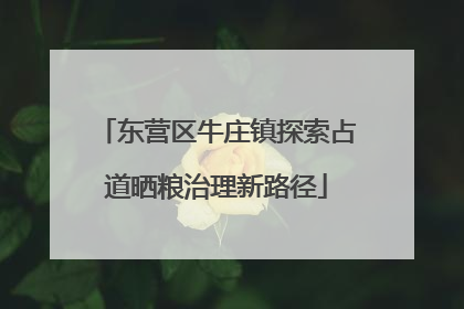 东营区牛庄镇探索占道晒粮治理新路径