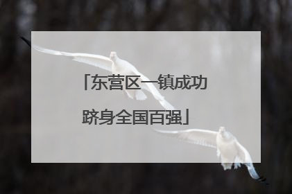 东营区一镇成功跻身全国百强
