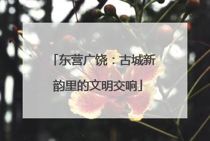 东营广饶：古城新韵里的文明交响