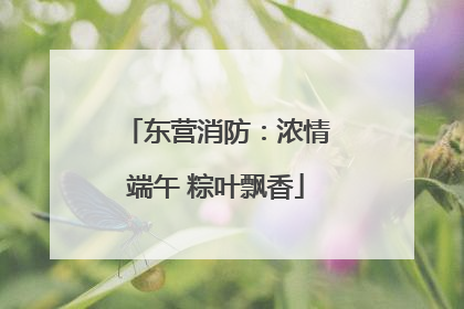 东营消防：浓情端午 粽叶飘香