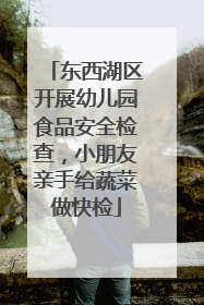 东西湖区开展幼儿园食品安全检查，小朋友亲手给蔬菜做快检