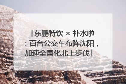 东鹏特饮 × 补水啦：百台公交车布阵沈阳，加速全国化北上步伐