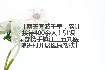 两天奔波千里，累计接待400余人！驻镇某部携手镇江三五九医院进村开展健康帮扶