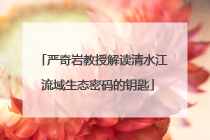 严奇岩教授解读清水江流域生态密码的钥匙