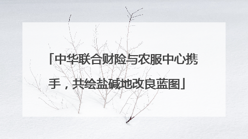 中华联合财险与农服中心携手，共绘盐碱地改良蓝图