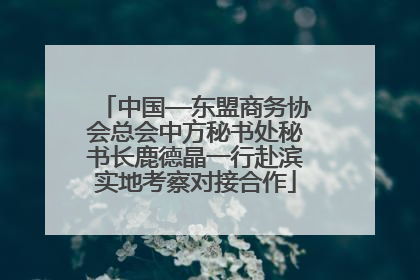 中国—东盟商务协会总会中方秘书处秘书长鹿德晶一行赴滨实地考察对接合作