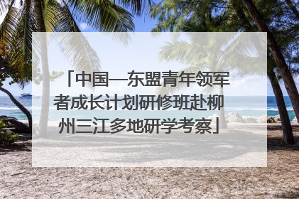 中国—东盟青年领军者成长计划研修班赴柳州三江多地研学考察
