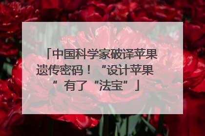 中国科学家破译苹果遗传密码！“设计苹果”有了“法宝”
