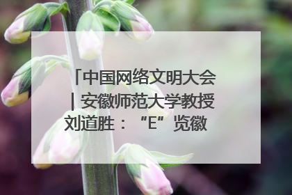 中国网络文明大会｜安徽师范大学教授刘道胜：“E”览徽风，构筑中华民族共有精神家园