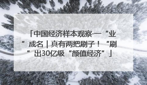 中国经济样本观察·一“业”成名｜真有两把刷子！“刷”出30亿级“颜值经济”