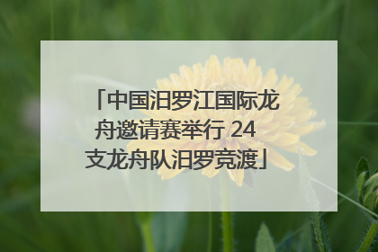 中国汨罗江国际龙舟邀请赛举行 24支龙舟队汨罗竞渡