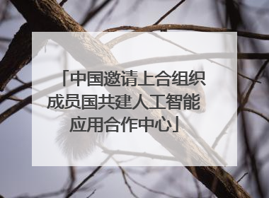 中国邀请上合组织成员国共建人工智能应用合作中心