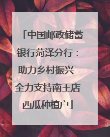 中国邮政储蓄银行菏泽分行：助力乡村振兴 全力支持南王店西瓜种植户