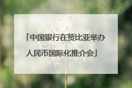 中国银行在赞比亚举办人民币国际化推介会