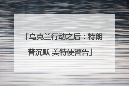 乌克兰行动之后：特朗普沉默 美特使警告