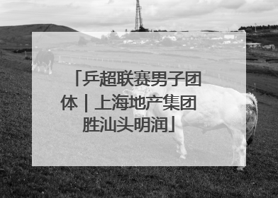 乒超联赛男子团体｜上海地产集团胜汕头明润