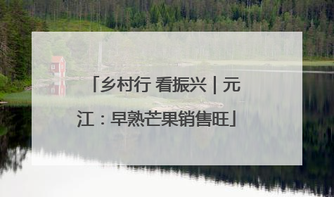 乡村行 看振兴｜元江：早熟芒果销售旺