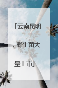 云南昆明：野生菌大量上市
