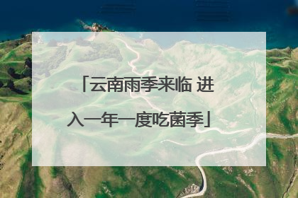 云南雨季来临 进入一年一度吃菌季