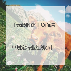 云岭时评丨负面清单划定行业红线③