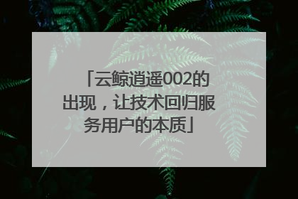 云鲸逍遥002的出现，让技术回归服务用户的本质
