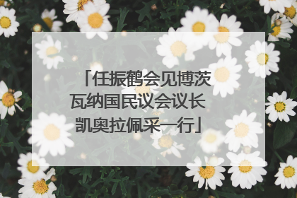 任振鹤会见博茨瓦纳国民议会议长凯奥拉佩采一行