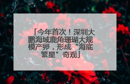 今年首次！深圳大鹏海域鹿角珊瑚大规模产卵，形成“海底繁星”奇观