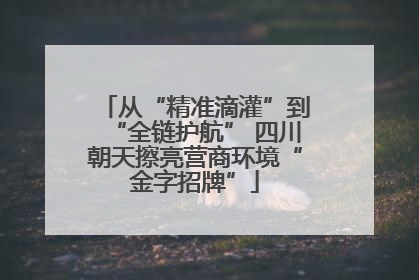 从“精准滴灌”到“全链护航” 四川朝天擦亮营商环境“金字招牌”