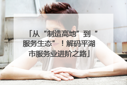 从“制造高地”到“服务生态”！解码平湖市服务业进阶之路