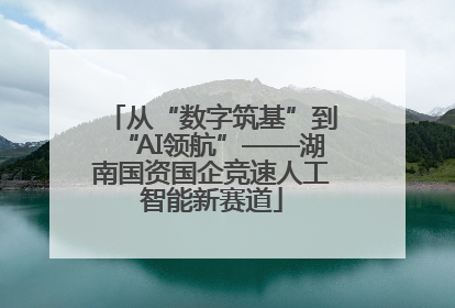 从“数字筑基”到“AI领航”——湖南国资国企竞速人工智能新赛道