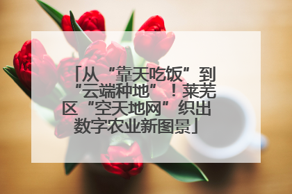 从“靠天吃饭”到“云端种地”！莱芜区“空天地网”织出数字农业新图景