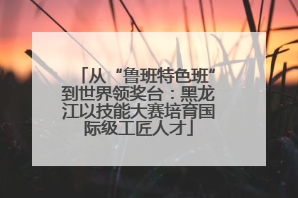 从“鲁班特色班”到世界领奖台：黑龙江以技能大赛培育国际级工匠人才