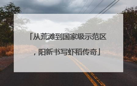 从荒滩到国家级示范区，阳新书写虾稻传奇