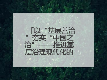 以“基层善治”夯实“中国之治”——推进基层治理现代化的临沂公安实践