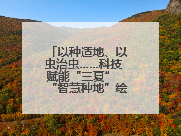 以种适地、以虫治虫……科技赋能“三夏” “智慧种地”绘就好“丰”景