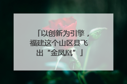 以创新为引擎，福建这个山区县飞出“金凤凰”